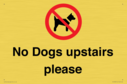 no-dogs-upstairs-please-~